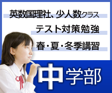 中学部 少人数じっくり指導コース,苦手科目克服コース,テスト対策勉強,春夏冬季講習