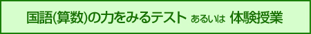 国語(算数)の力をみるテスト あるいは体験授業